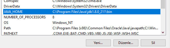 JAVA_HOME 