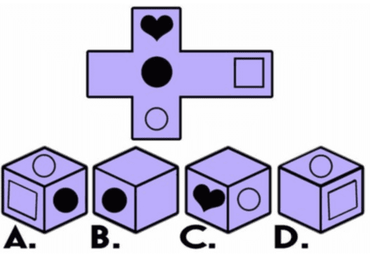 iqtest 2 s22 d