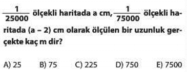 oranti 1d