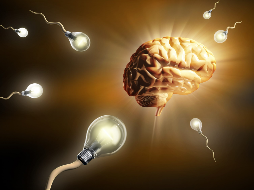 🧠 IQ Nedir? Zeka Nedir? 2 IQ Nedir