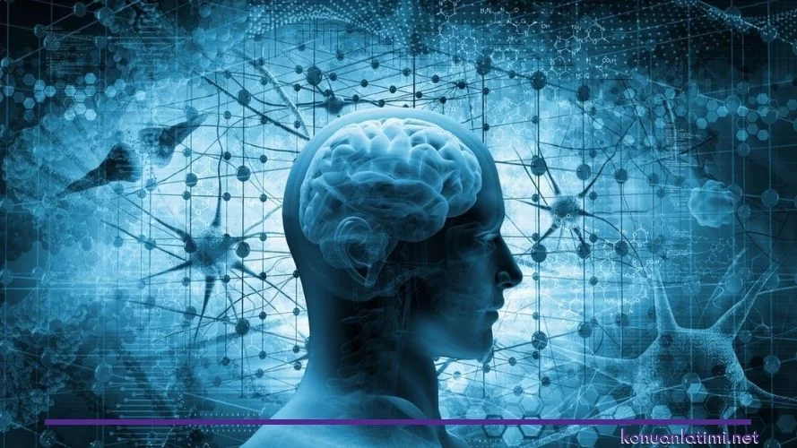 🧠 IQ Nedir? Zeka Nedir? 3 Zeka Nedir?