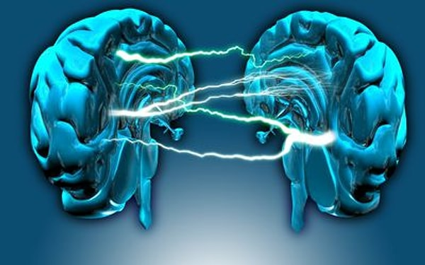 🧠 IQ Nedir? Zeka Nedir? 4 Wechsler