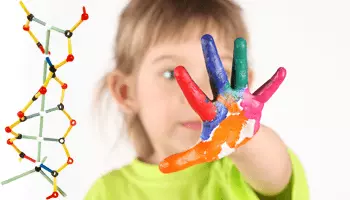 🧠 IQ Test Tipleri 2 IQ Test Tipleri